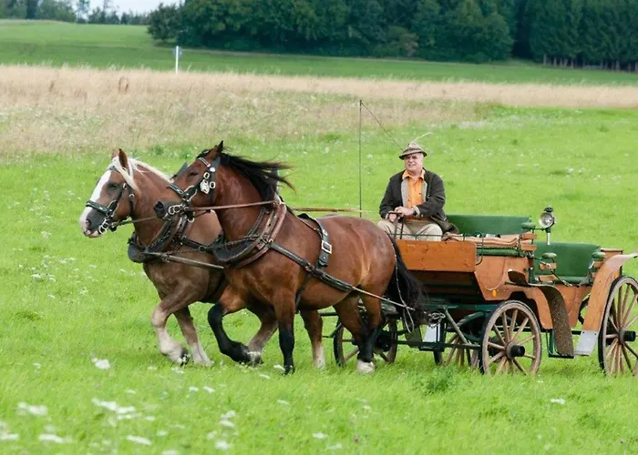 Lantställe Bayerwald-ferienhof Schmid