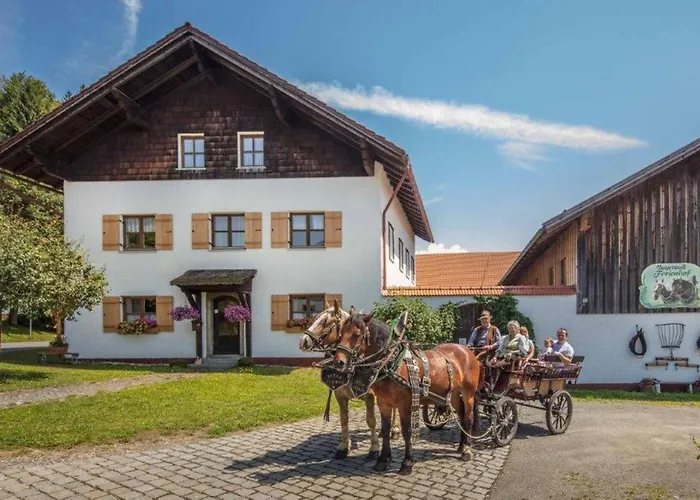 Bayerwald-ferienhof Schmid Eppenschlag
