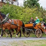 Bayerwald-ferienhof Schmid Landsted