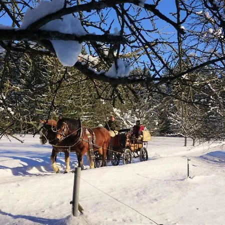 Bayerwald-ferienhof Schmid