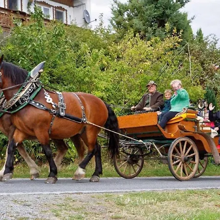 Bayerwald-ferienhof Schmid Εξοχικό σπίτι